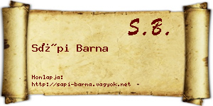 Sápi Barna névjegykártya